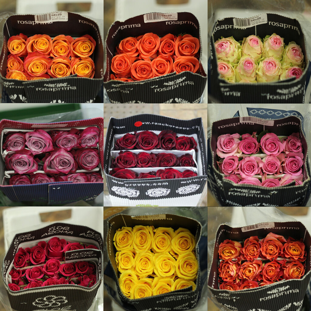 Банч роз (фото с сайта flovans.ru)