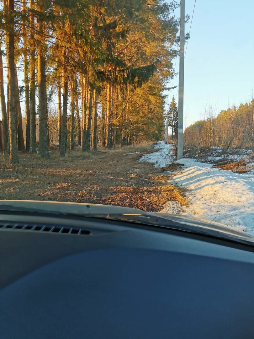 Приехал я на дачу не только для того чтобы посмотреть насколько растаял снег, но и для того чтобы посмотреть сколько еще предстоит работы по спилу деревьев и кустов на новом участке.