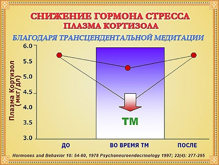 Поддержание здоровья. Профилактика и стабильность.