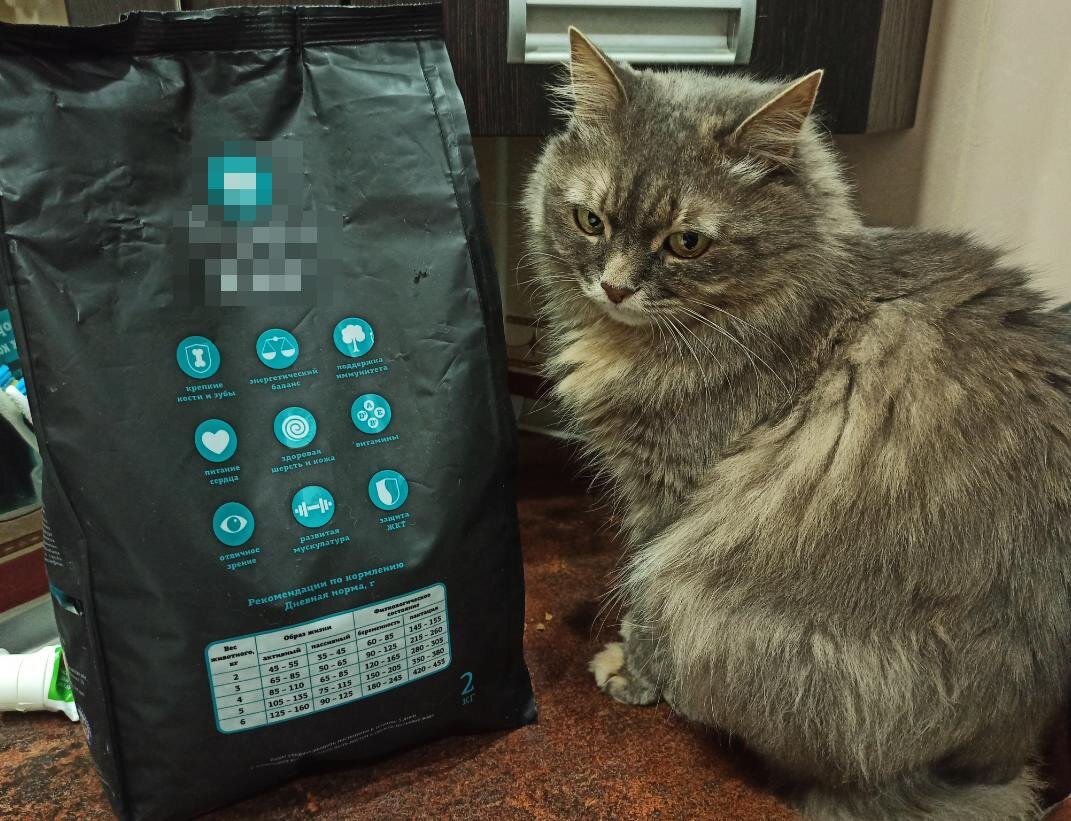 Маняха отказывается есть новый корм