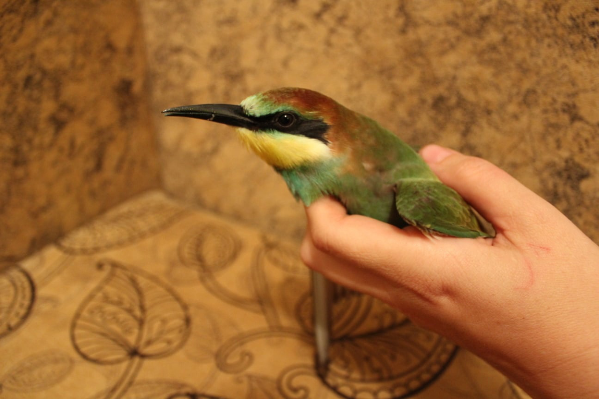 Фото взяты из личного архива героини 