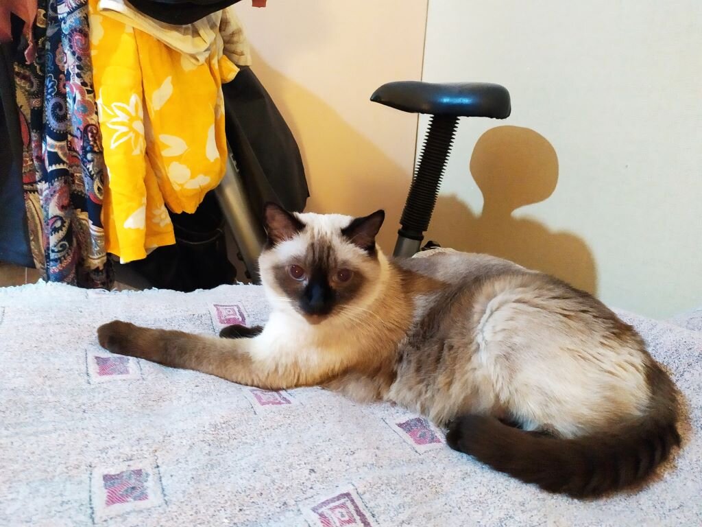 Кеша на фоне тренажёра, ой, нет вешалки для одежды))) Красавец!