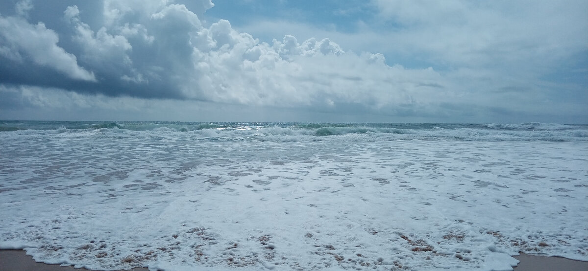 Фото автора. Натуральная картина.