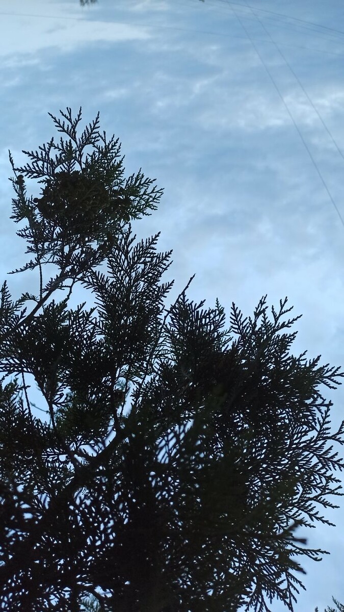 А это с небом. Красиво? Фото автора.