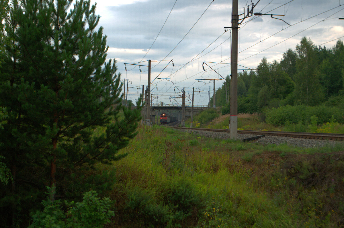 Пробирается по многочисленным кривым