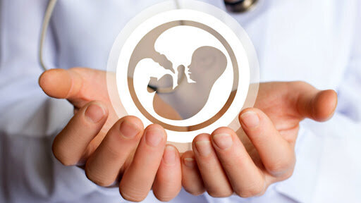 Добавьте описание