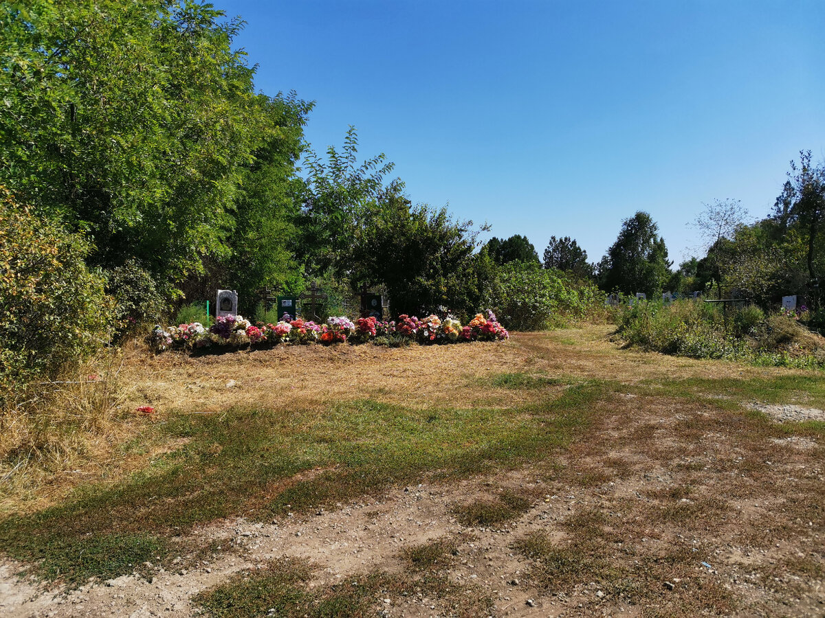 Кладбище села Александровки, Матвеево-Курганский район, Ростовская область
