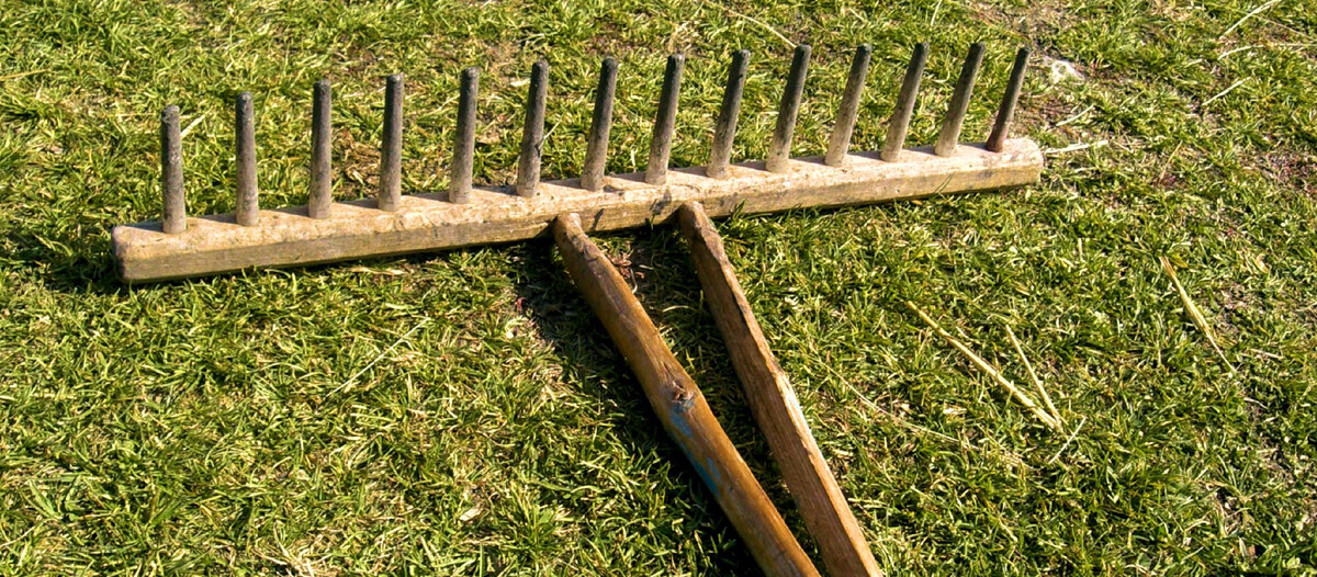 Как выбиться в люди - ритуал с граблями