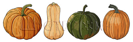 Королева осени, тыква!