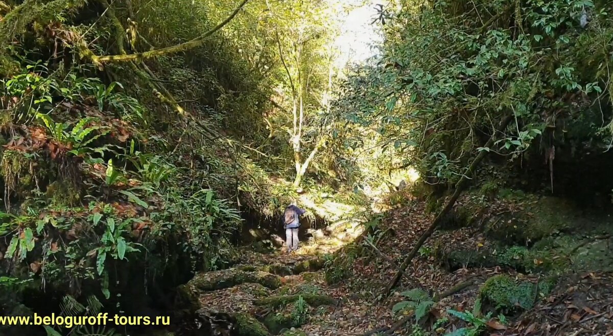 Безымянный каньон