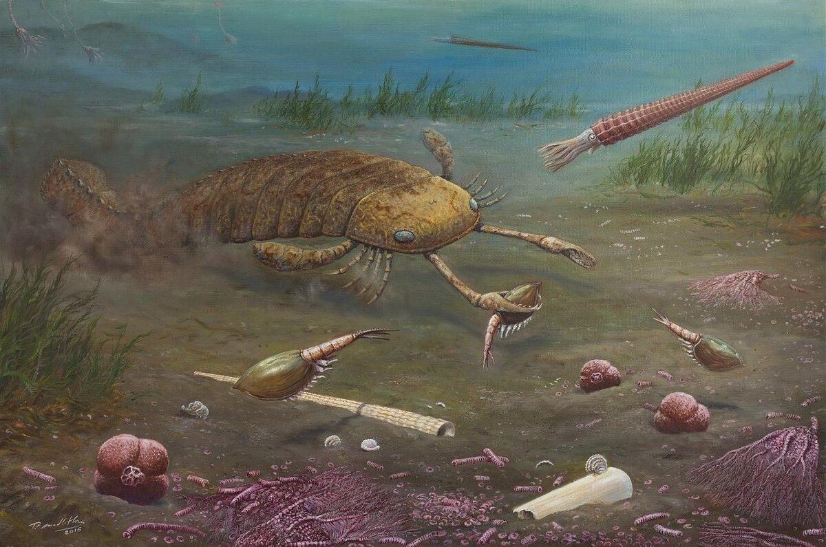 На данной картинке изображен ракоскорпион, эдо дальние родичи пауков, относятся к подтипу хелицеровые.