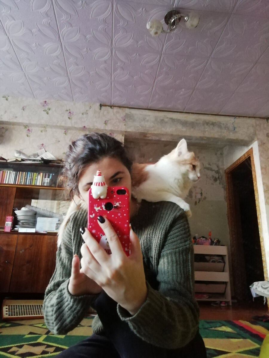Кот для отвлечения вниманияю