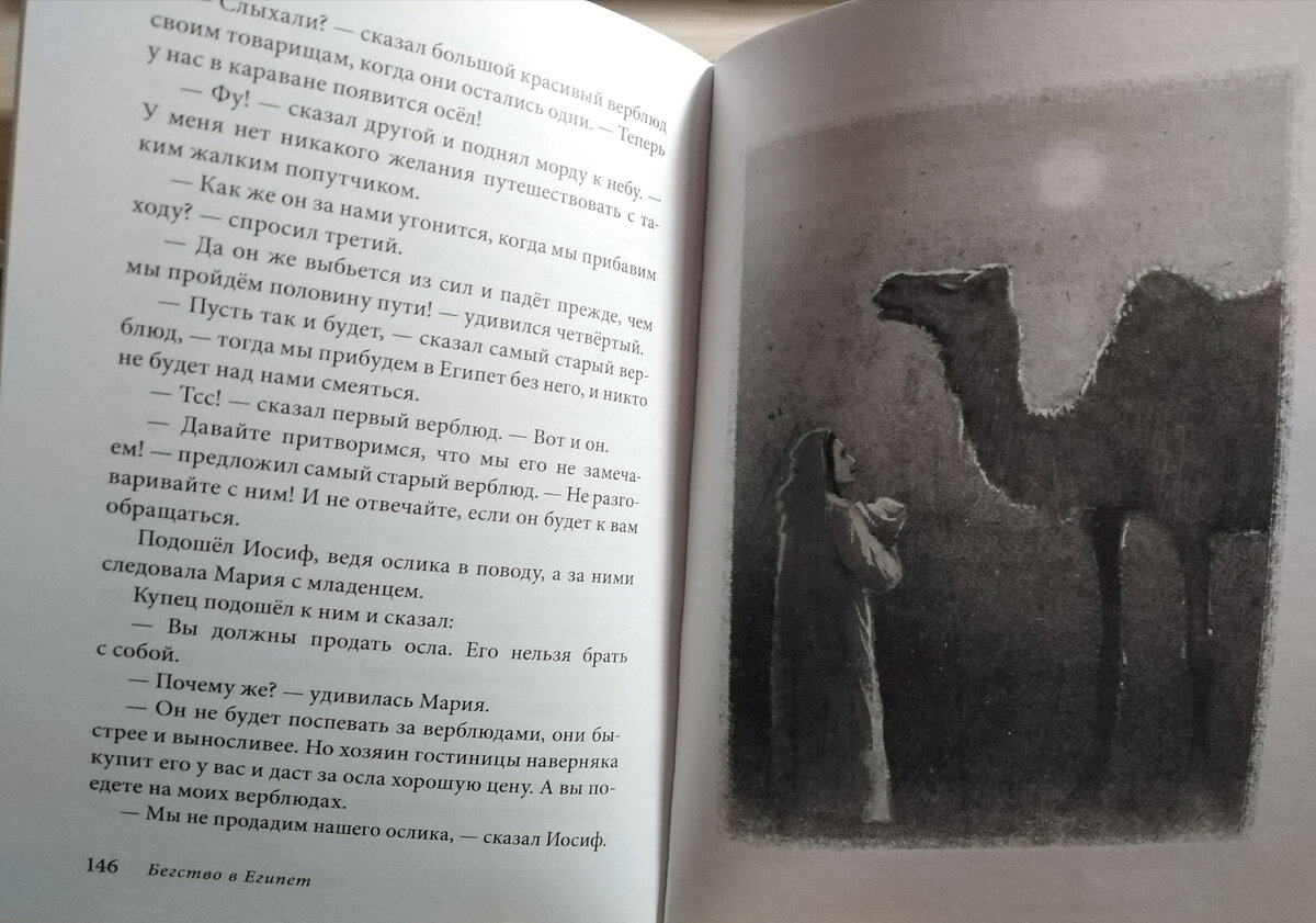 Страницы книги