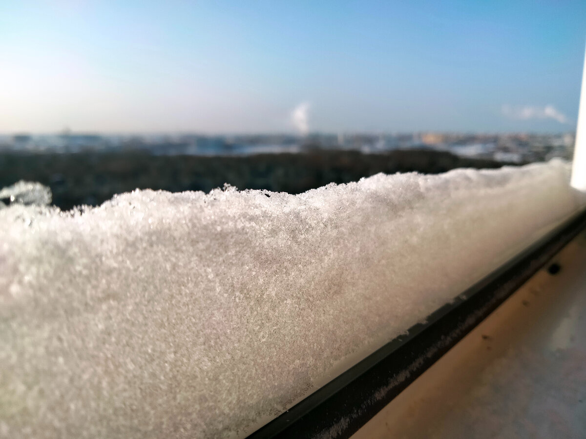 Фото Анастасии Петровой