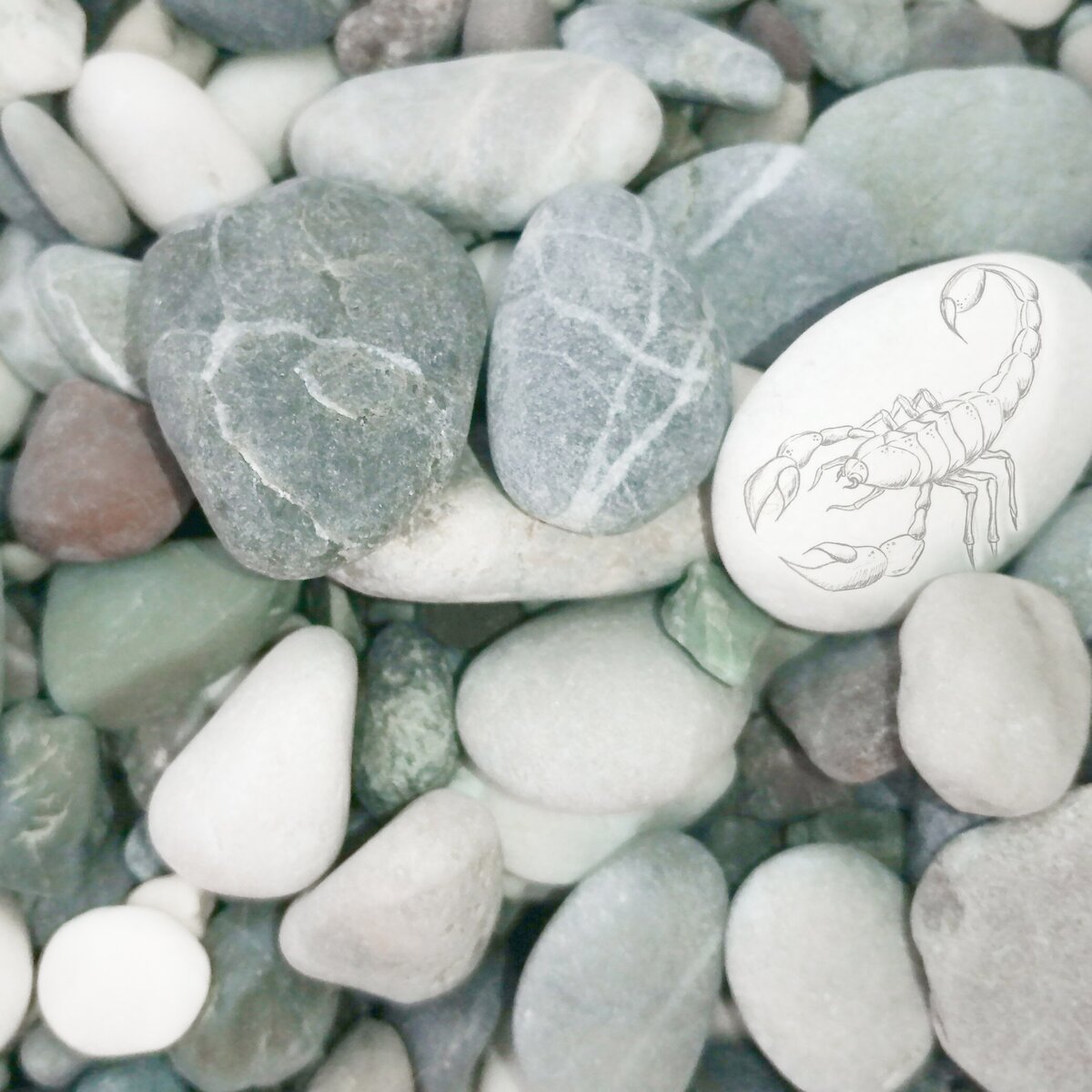 Морской берег 