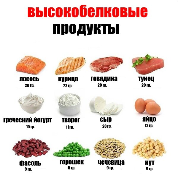 А где искать белок взрослым?