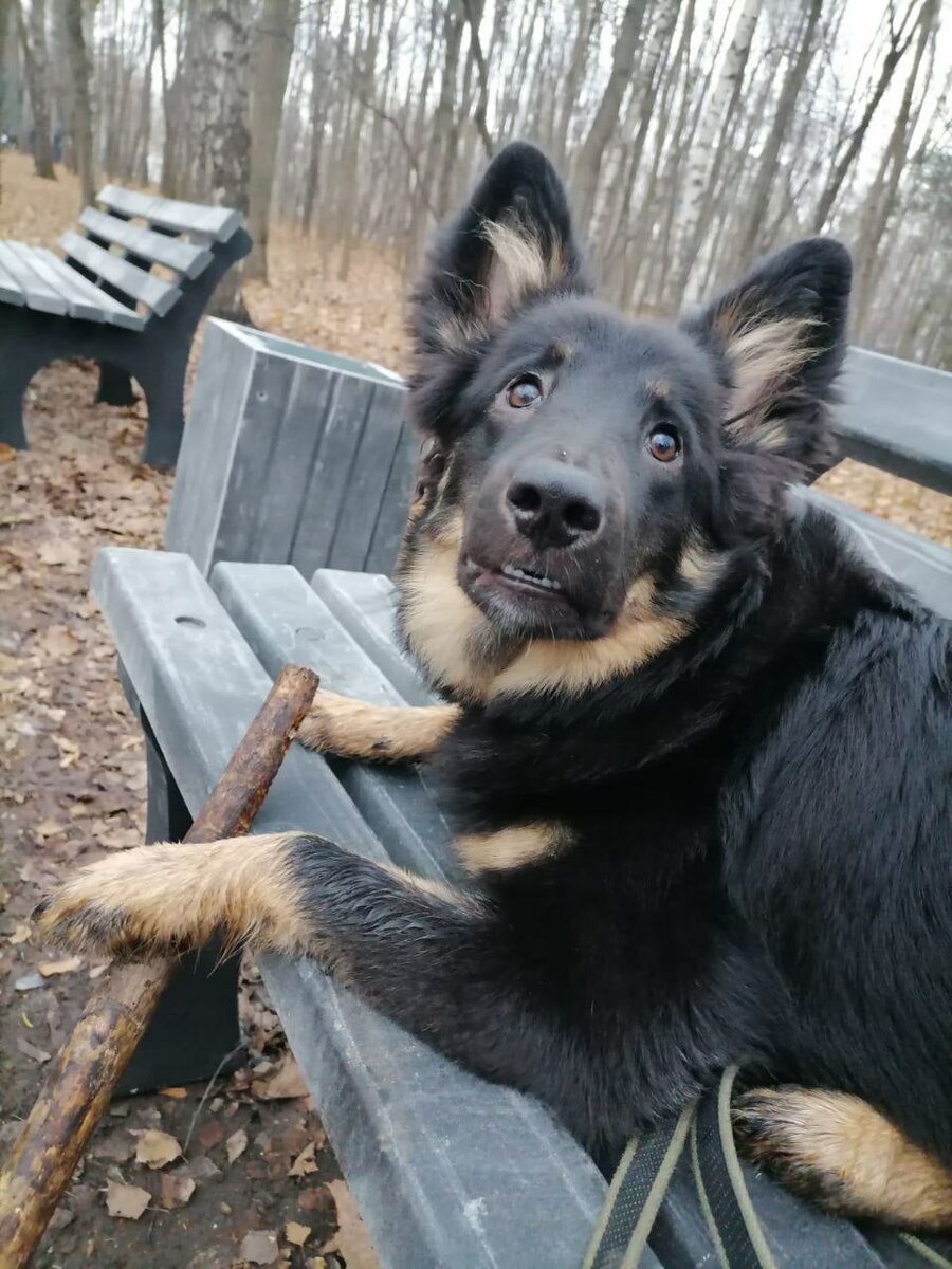 И такой стала дома