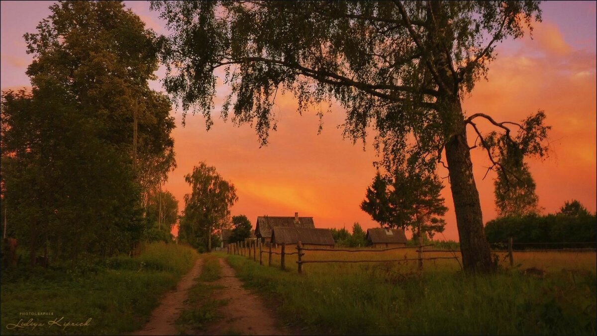 фото из интернета