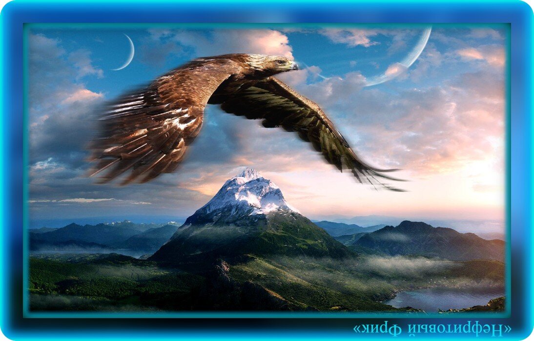 Картинка с Яндекса. "Свобода - это полёт во время которого у птицы не обрезают крылья"