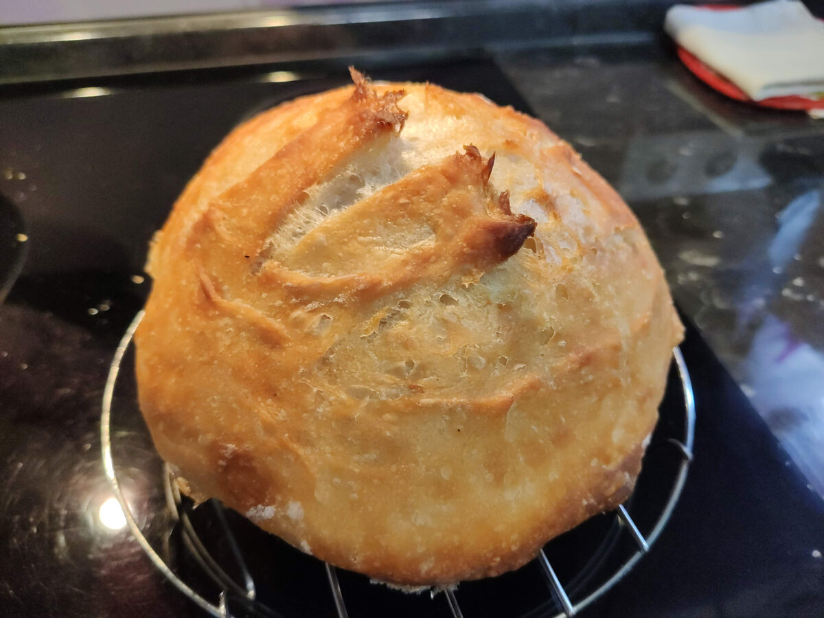 Хлеб в духовке в рукаве. Самый вкусный хлеб. Хлеб в духовке в кастрюле видео. Самый первый приготовленный хлеб. Хлеб в рукаве на кухне у Любани.