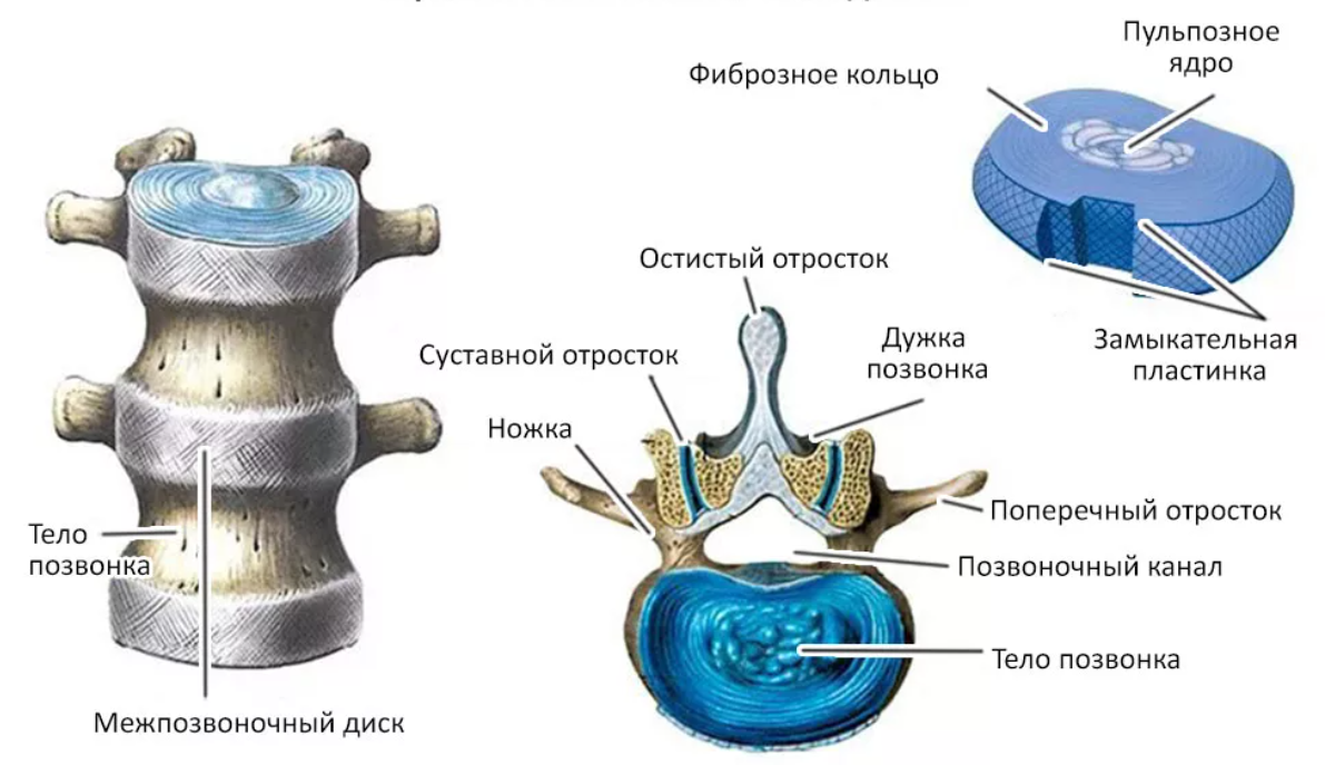 Жидкость в спинном канале