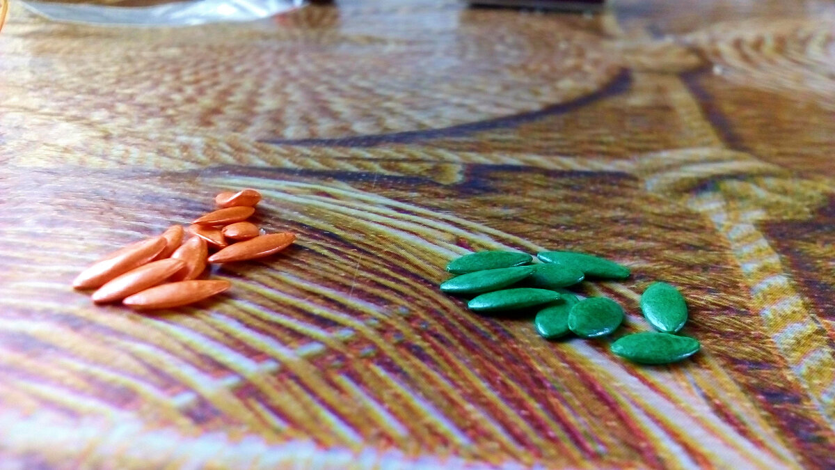 Обработанные семена можно замачивать. Для этого смачиваем ватный диск в нужной жидкости, и выкладываем туда на пару часов