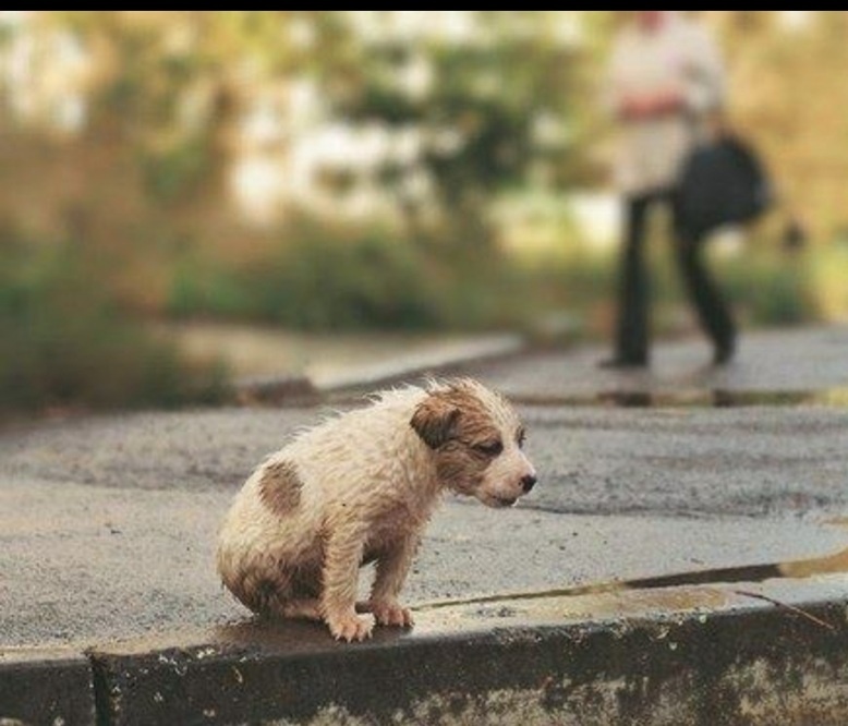 Фото взято из интернета.