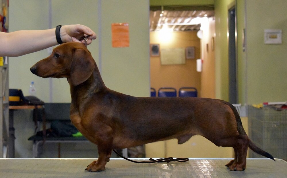 Русский Ассорти’к Христофор