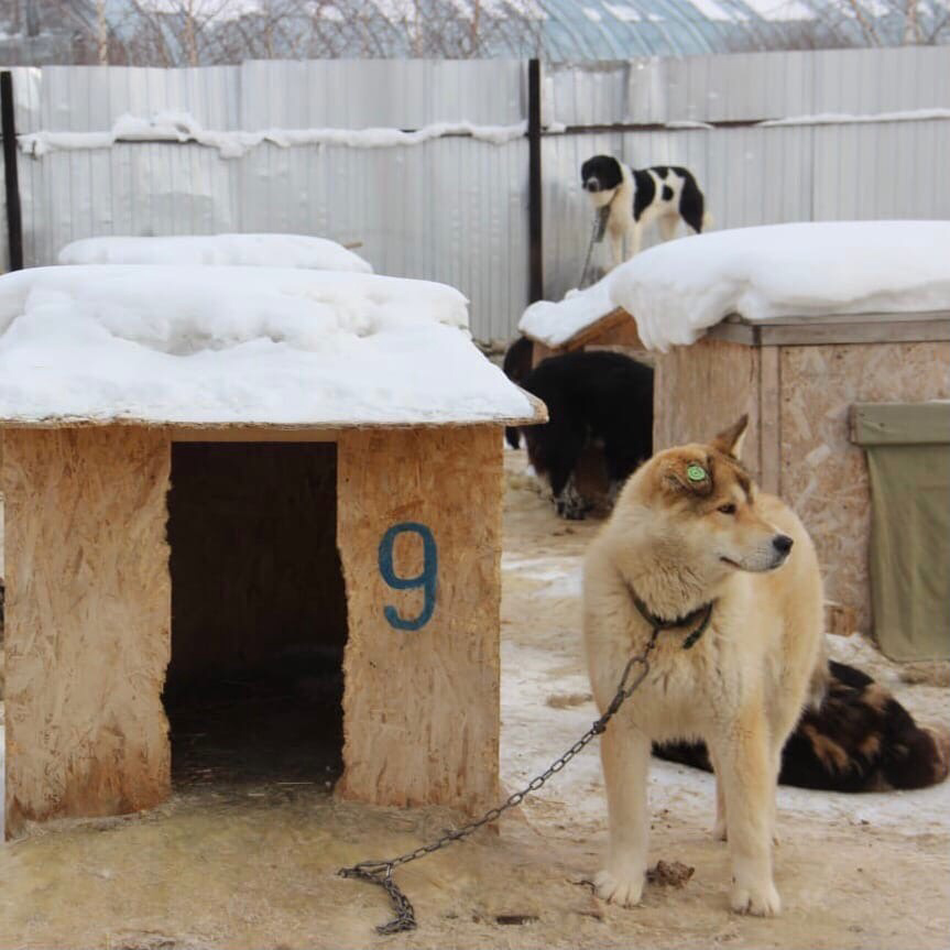 Фото в отлове