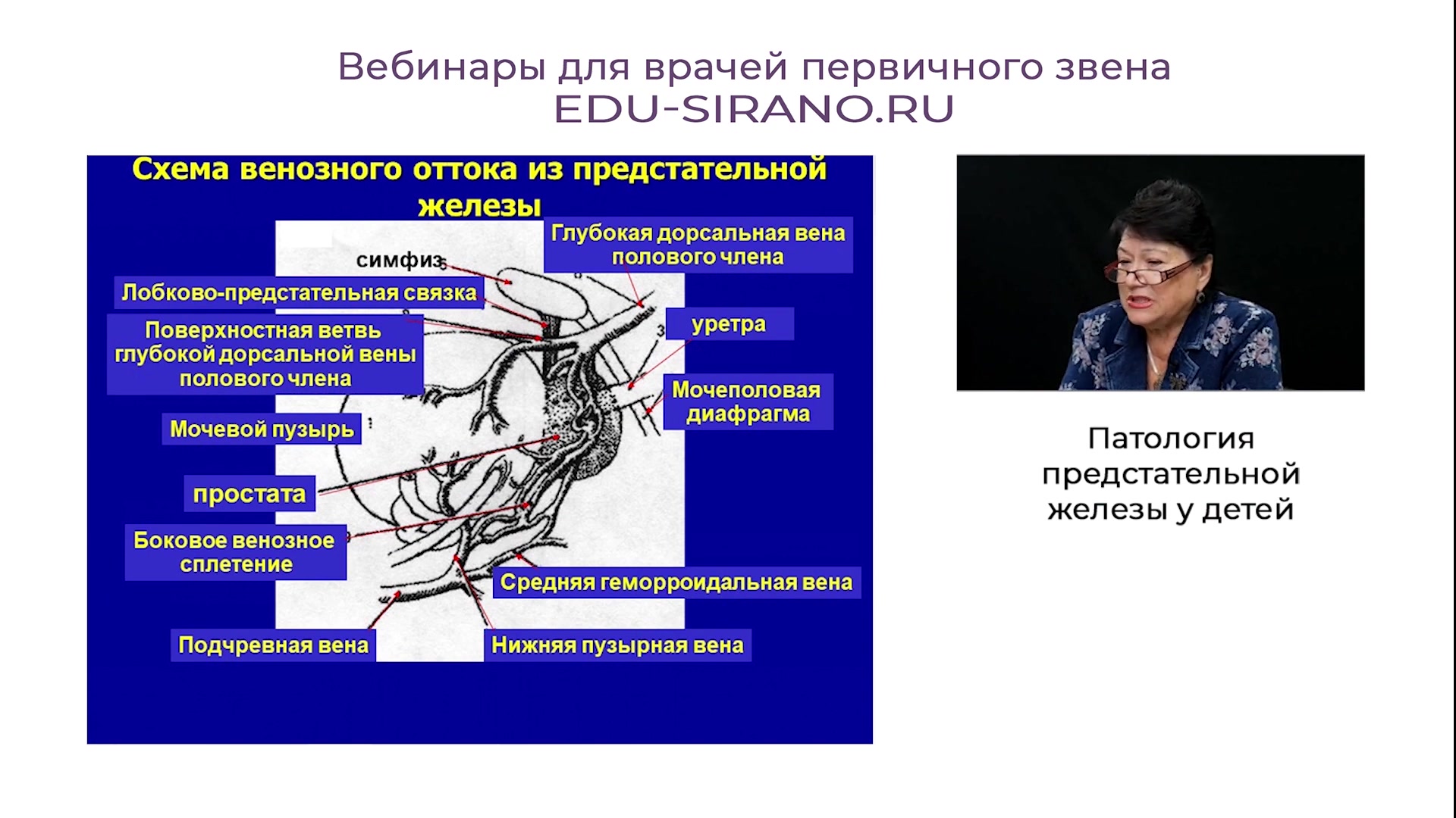 Патология предстательной железы у детей. Часть 1 | Образовательный Портал  СИРАНО | Дзен