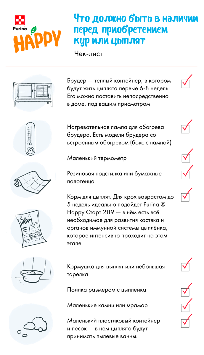 Весна в курятнике: новые птицы, генеральная уборка и защита от хищников |  Здоровая еда — счастливая семья | Дзен