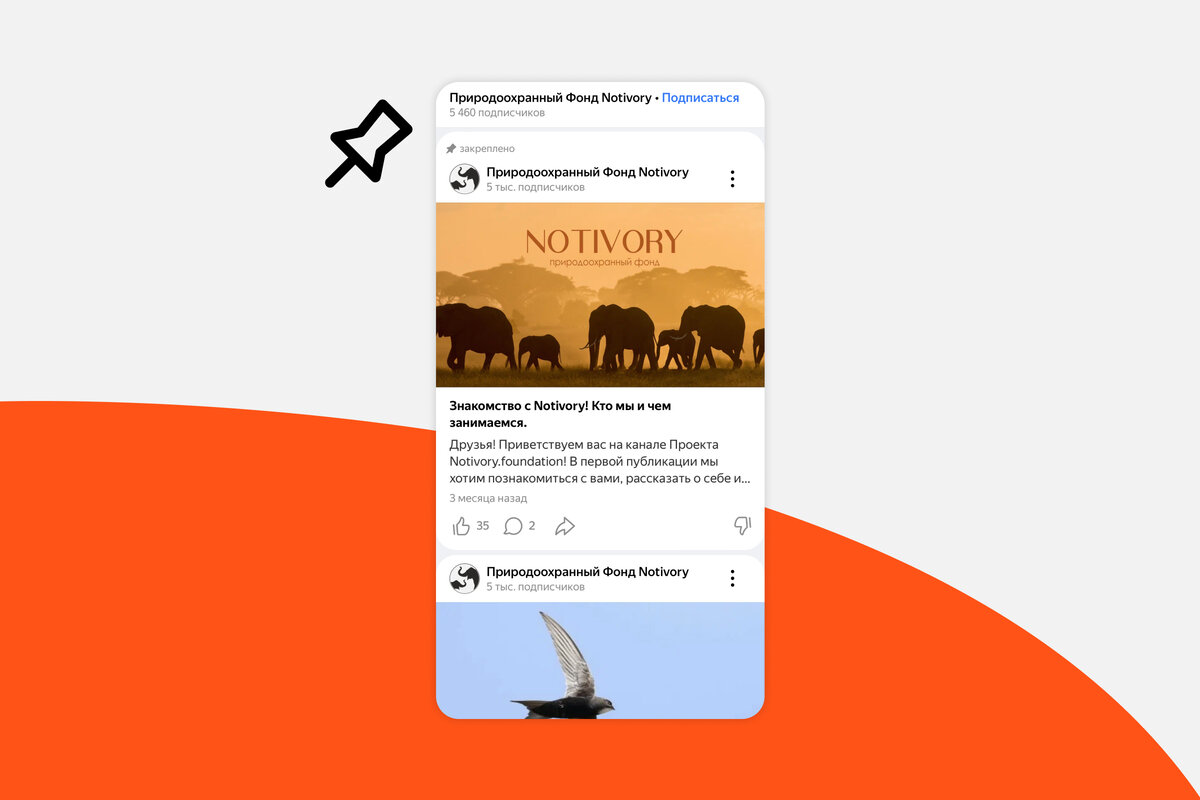 zen.yandex.ru/notivory