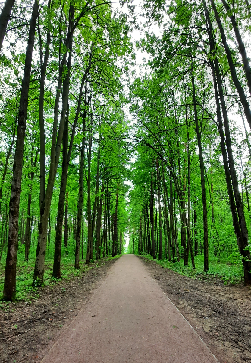 Парк Мещерский