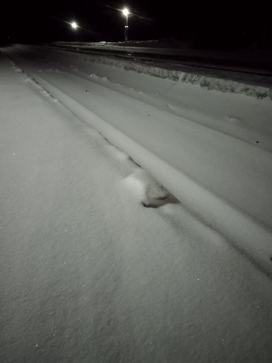 Занесённые пушистым снегом ж.д.пути.