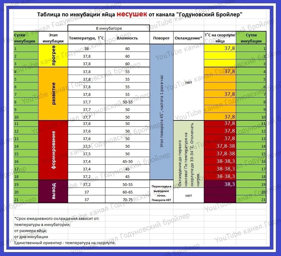 Схема инкубации цыплят