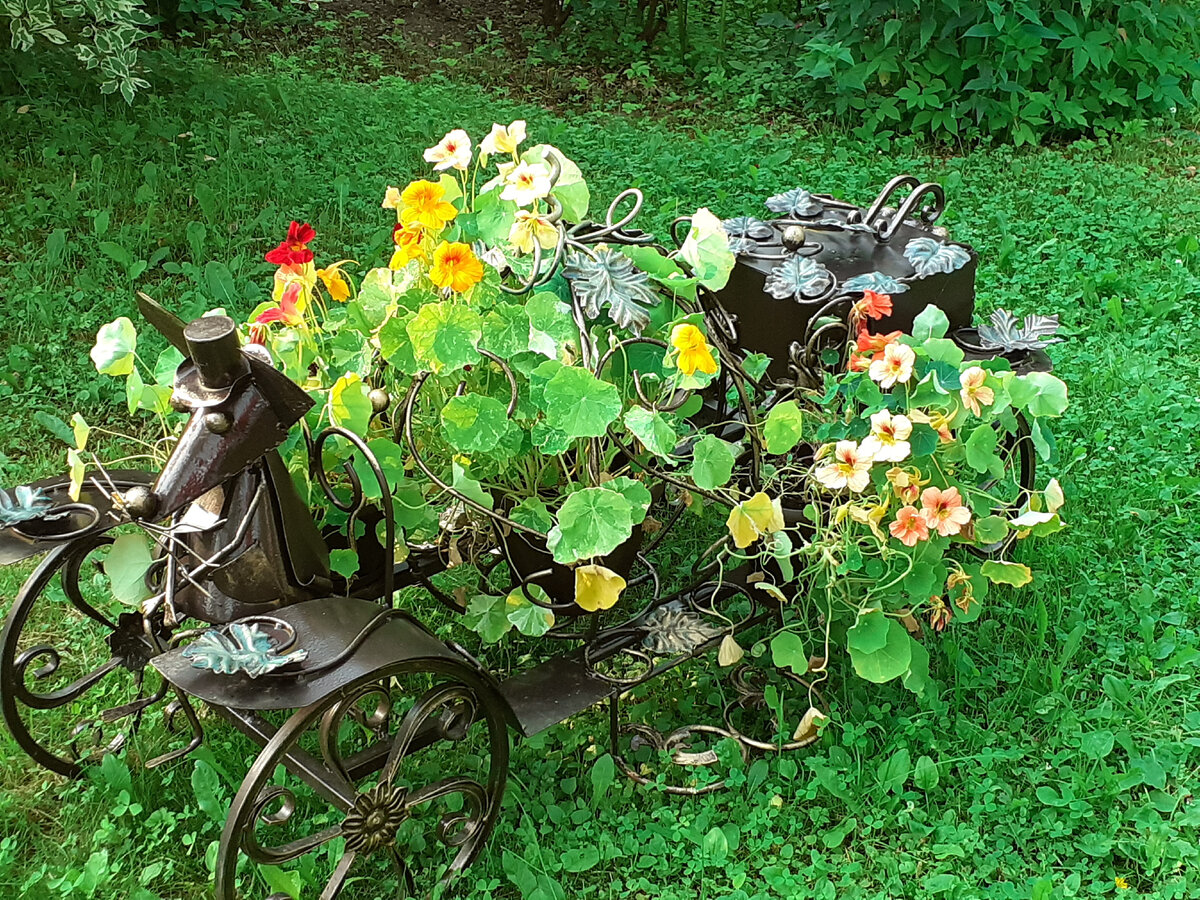 Моя карета тыква 