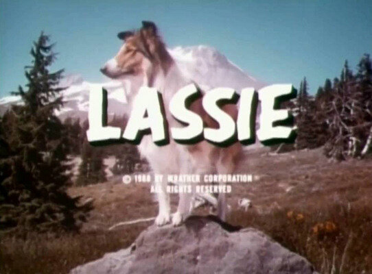 Из свободных интернет-источников