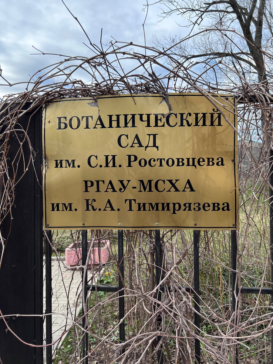 Вывеска