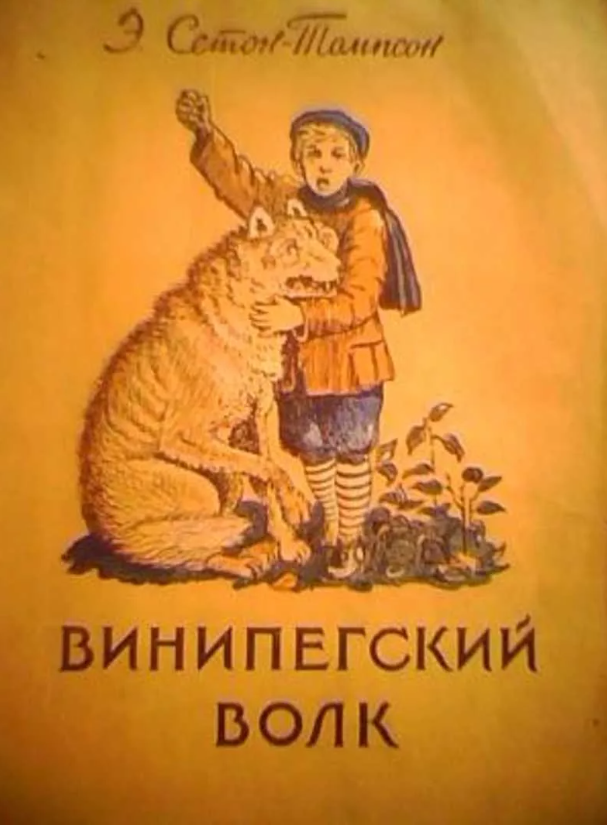 Виннипегский волк план рассказа