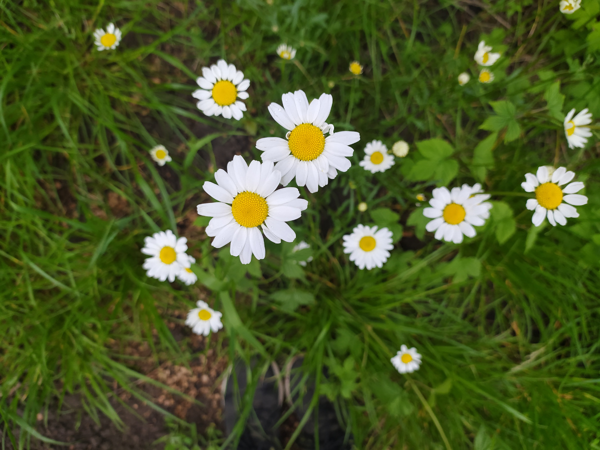 Природа успокаивает)