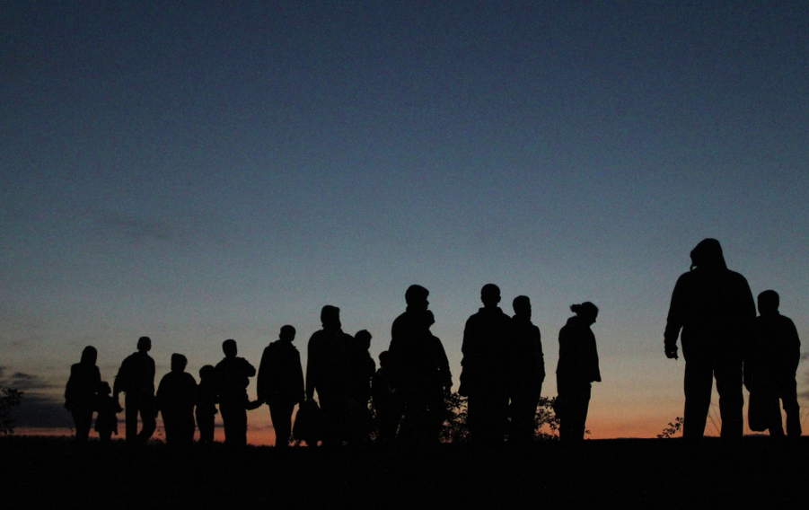 Фото: © РИА Новости/Дмитрий Виноградов 