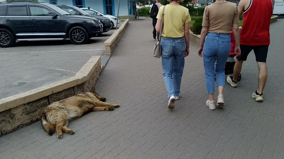Летом на Сормовском повороте бывает очень жарко...