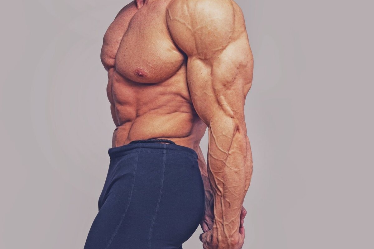     Как и в каком порядке тренировать трицепсы, чтобы как можно скорее увидеть результат?