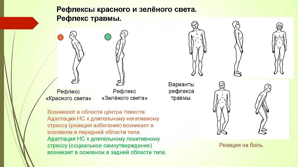 Как привыкнуть к зубным протезам: советы стоматолога — ROOTT