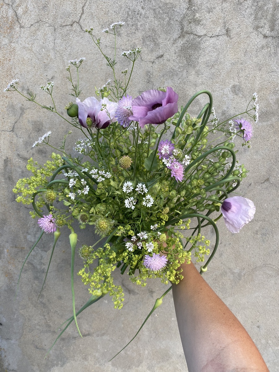 Обожаю дачные букеты, этот от злых соседей с цветами кинзы и чесночными стрелками (фото автора)