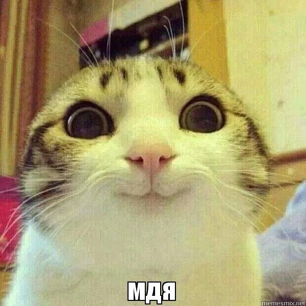 Вот вам и ответ :3