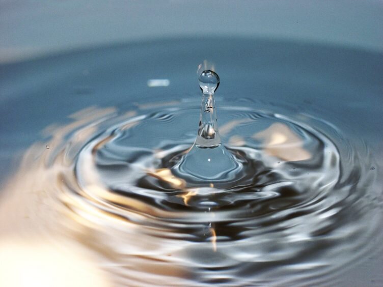 Водичка