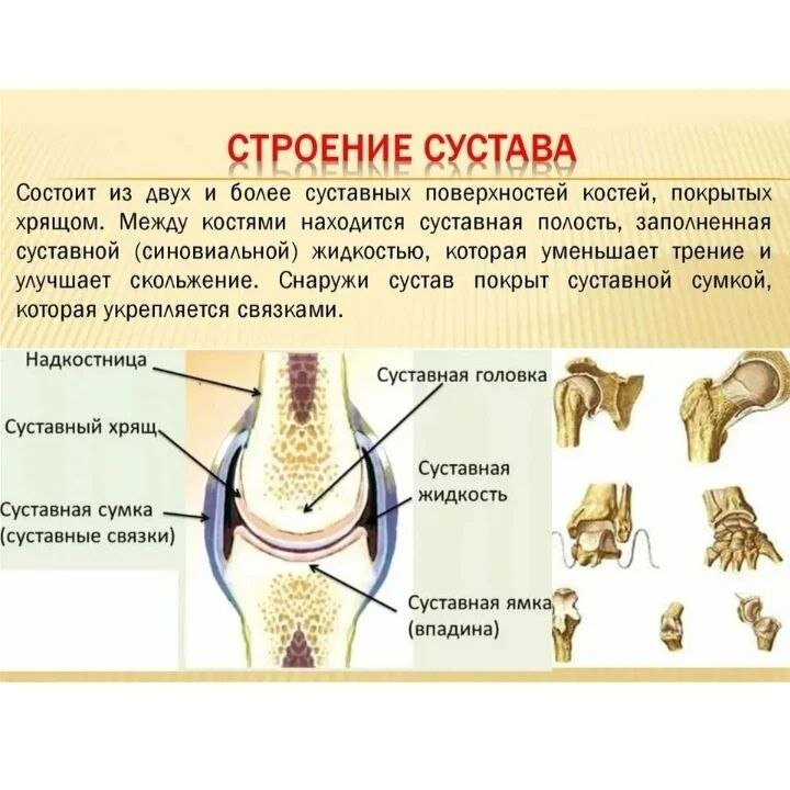 КАПУСТНЫЙ ЛИСТ ТУТ НЕ ПОМОЖЕТ