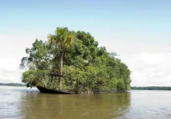 20 de locuri abandonate și pustii care te vor face să fii martor la puterea nemărginită a naturii