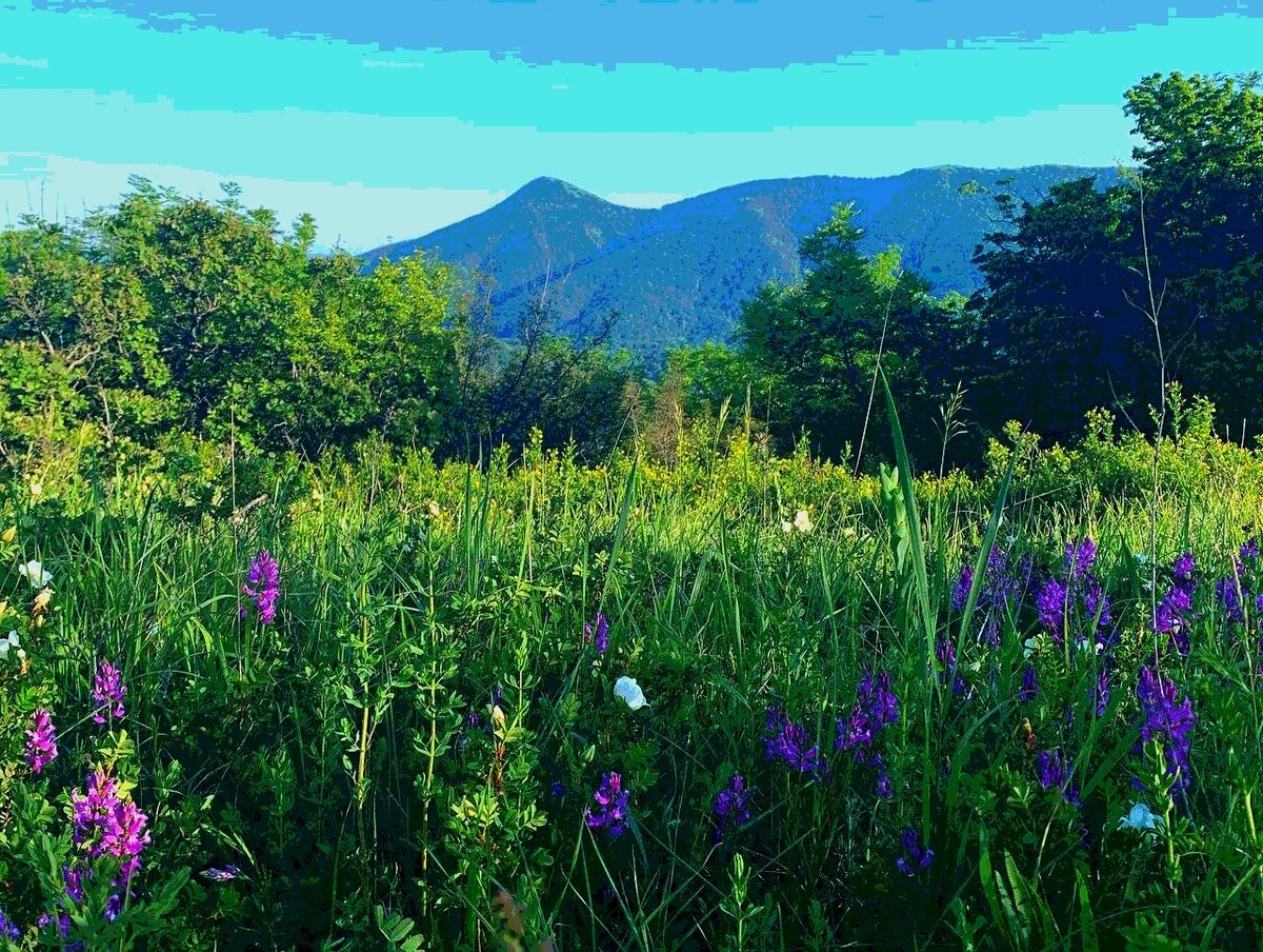 Не Канны, конечно, но было не плохо.